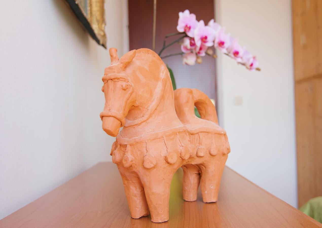 Apartment Todorovic - Macan プーラ エクステリア 写真